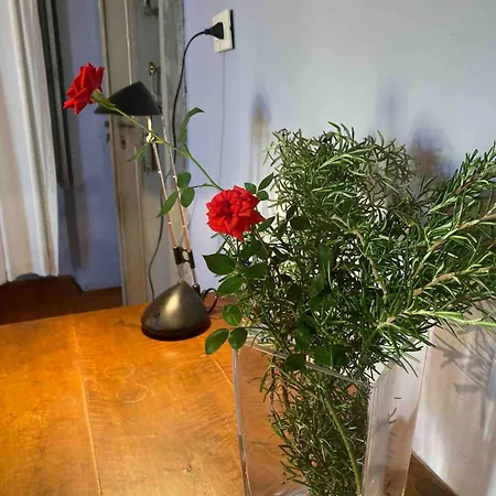 Castello Stella In ,monferrato Unesco