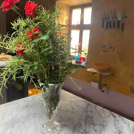 Castello Stella In ,monferrato Unesco Διαμέρισμα